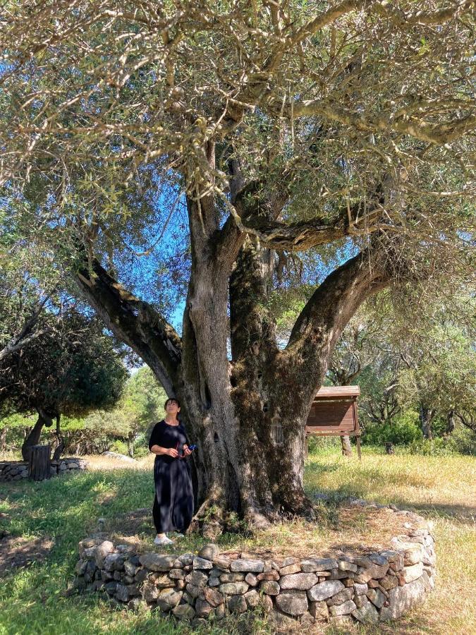 A Due Passi * Olbia